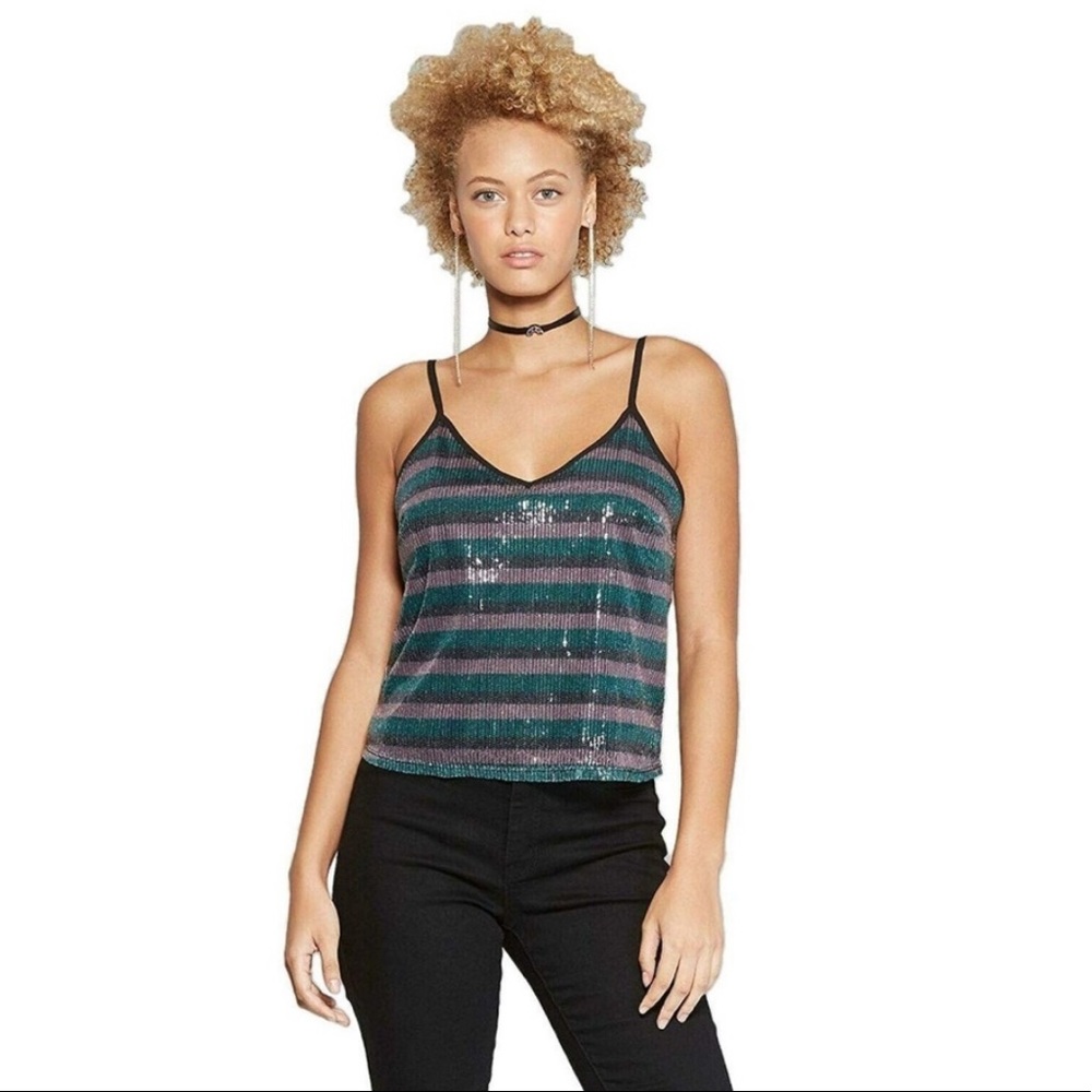 Wild Fable sequin top